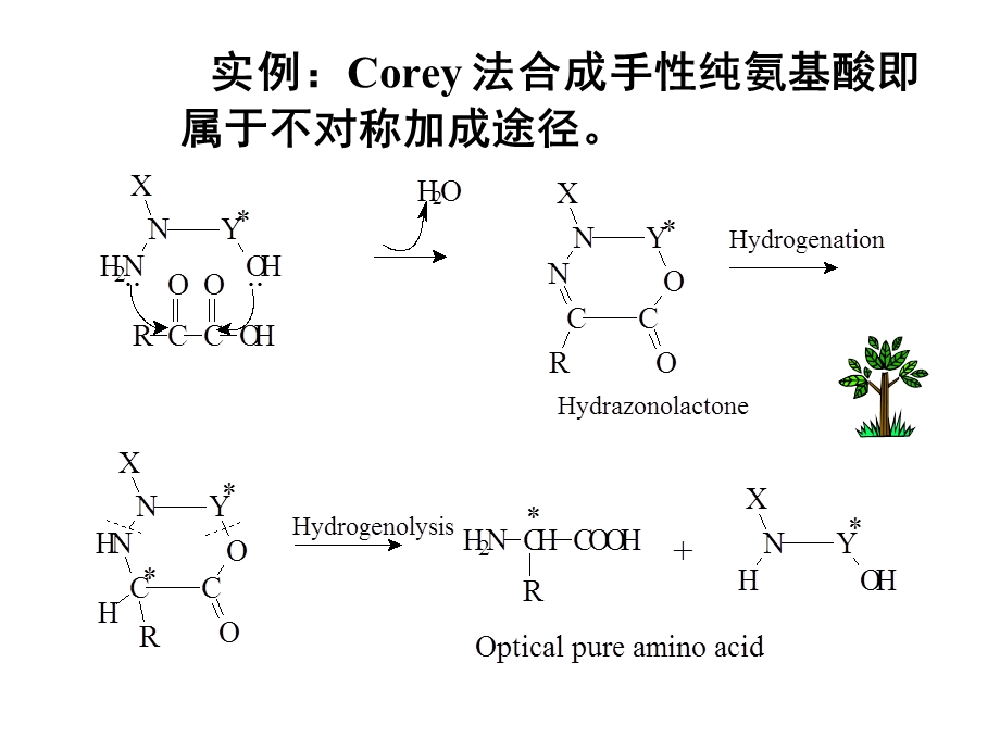 不对称合成课件.ppt_第3页