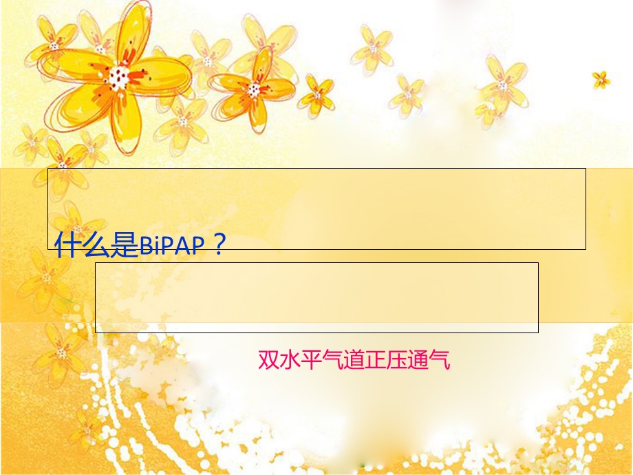 BiPAP Vision呼吸机培训课件.ppt_第2页