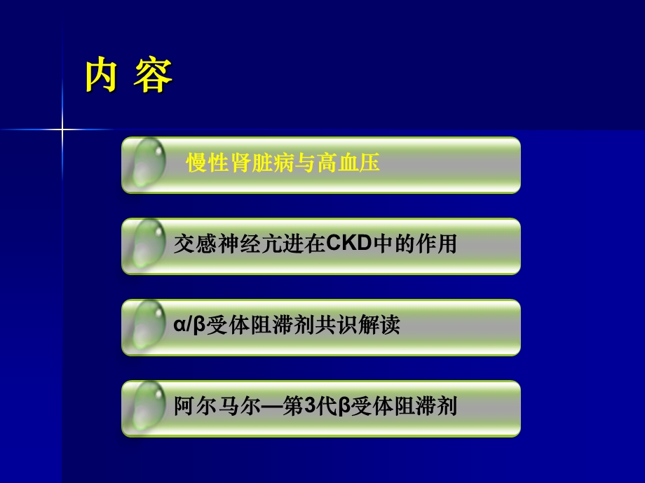 α β受体阻滞剂在慢性肾脏病高血压治疗中的应用共识解读课件.ppt_第2页