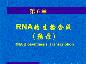 RNA的生物合成转录课件.ppt