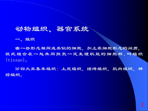 动物组织器官系统课件.ppt