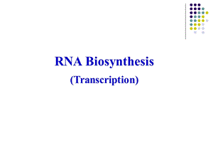 RNA Biosynthesis（transcription）RNA的生物合成课件.ppt