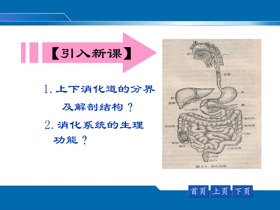 恶心呕吐呕血黑粪便血课件.ppt_第2页