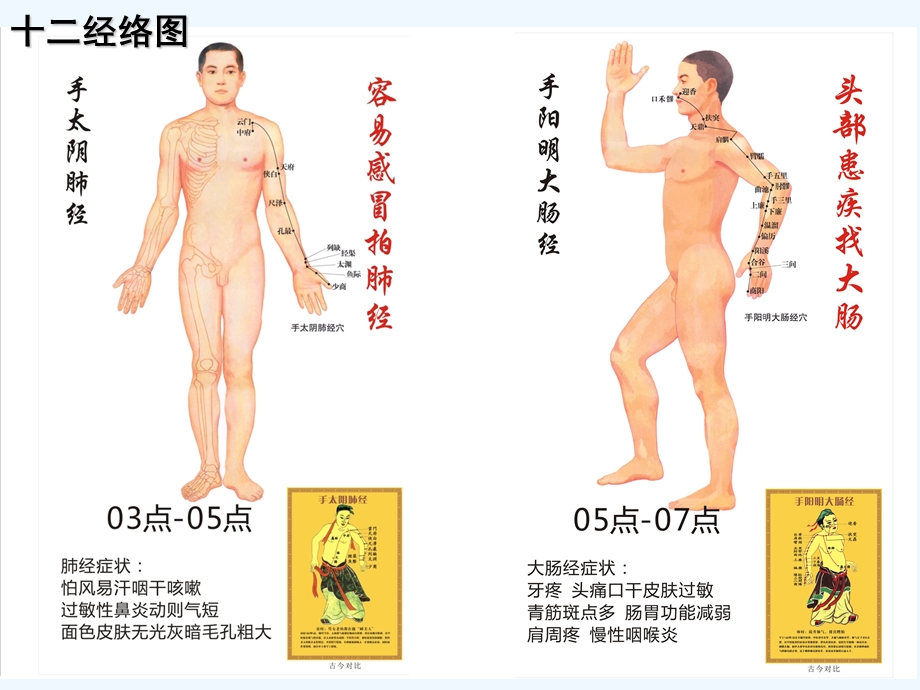 人体经络穴位骨骼肌肉讲解课件.ppt_第3页