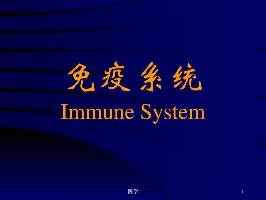 组织胚胎学--免疫系统(护理) 课件.ppt_第1页