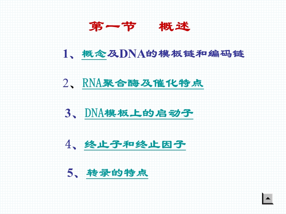 RNA生物合成（精品PPT）课件.ppt_第2页