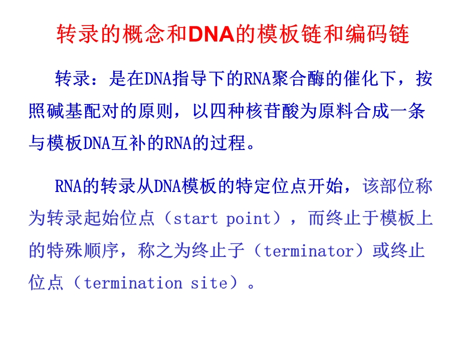 RNA生物合成（精品PPT）课件.ppt_第3页