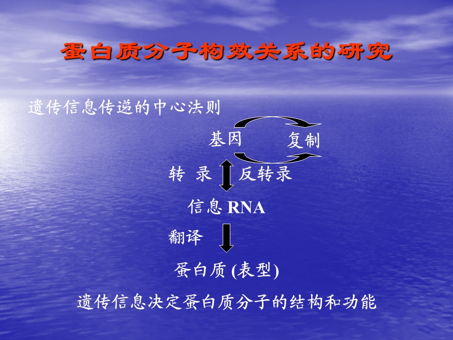 蛋白质构效关系和新型溶栓药物的设计与研制ppt课件.ppt_第2页