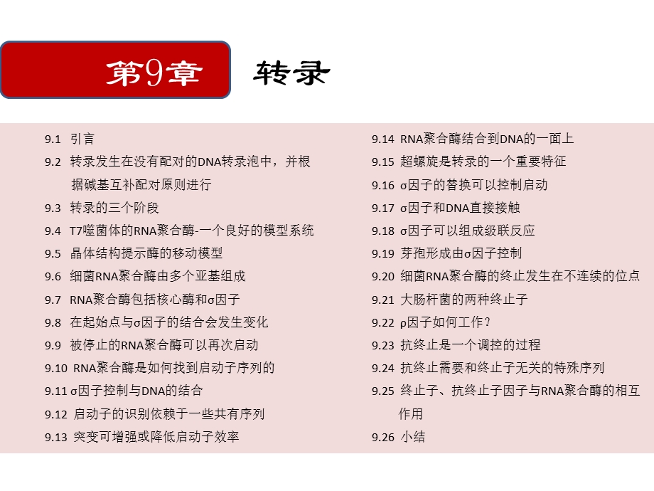 T噬菌体的RNA聚合酶课件.ppt_第1页