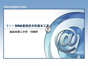 DNA重组技术的基本工具]一[教学ppt课件.ppt