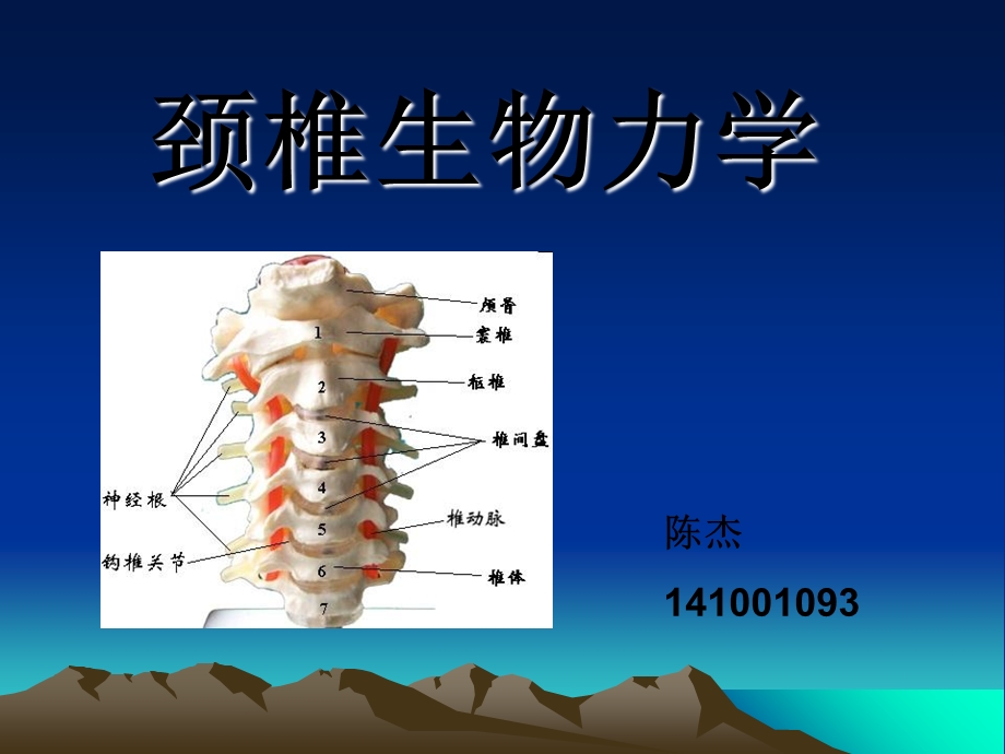 (骨生物力学ppt课件)颈椎生物力学.ppt_第1页