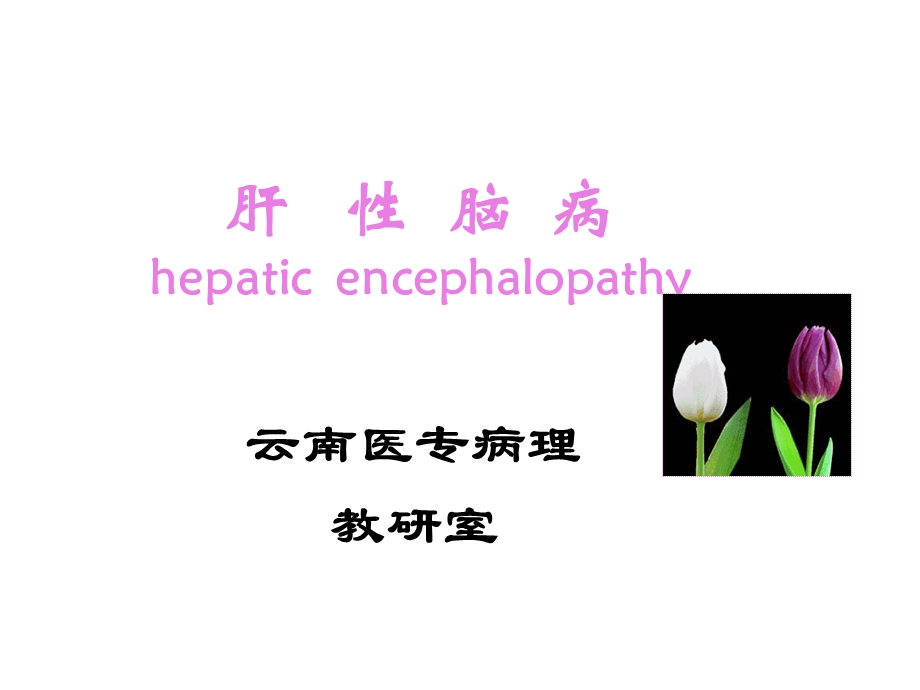 第十一章肝性脑病 课件.ppt_第1页