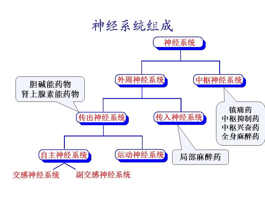 《药物化学基础(中职药剂专业)》拟胆碱药和抗胆碱药精要课件.ppt_第3页