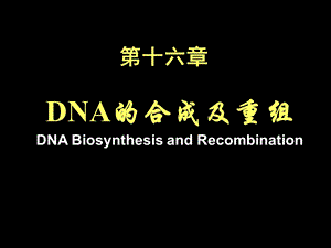 DNA的生物合成和损伤修复课件.ppt