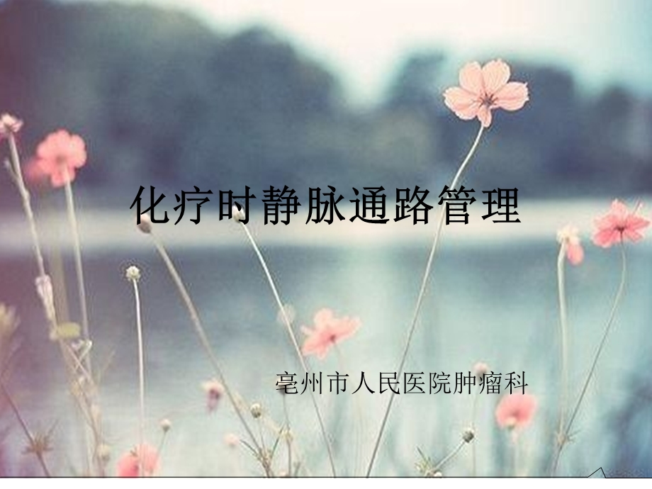 化疗静脉管理要点课件.ppt_第1页