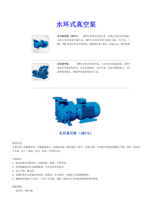 水环式真空泵.doc