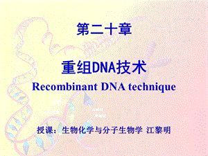 （生物化学教学ppt课件）第20章 重组dna技术.ppt