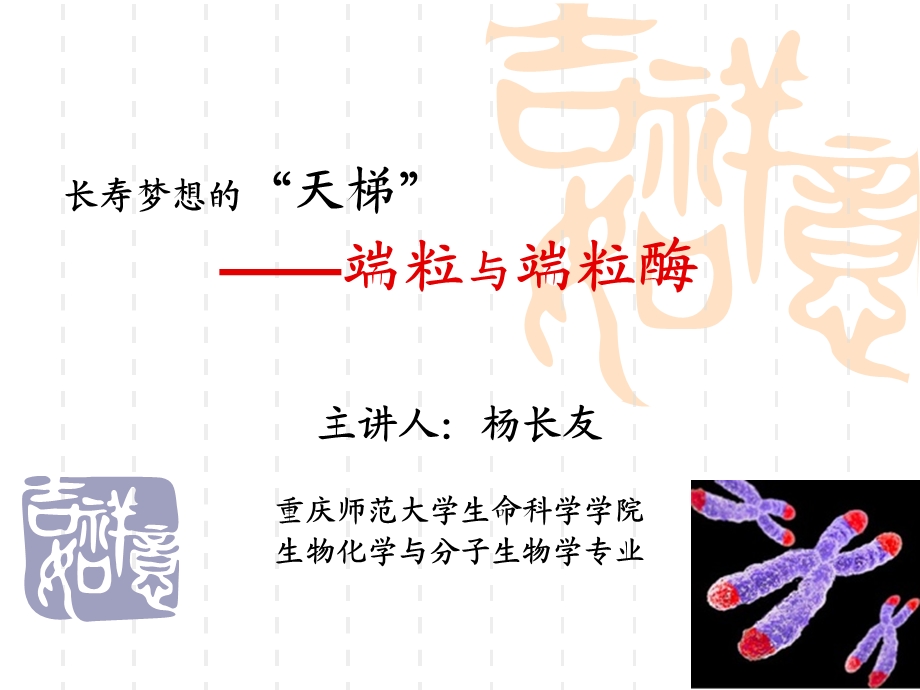 端粒与端粒酶课件.ppt_第1页