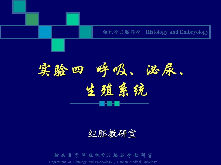 呼吸泌尿生殖系统实验课件.ppt_第1页