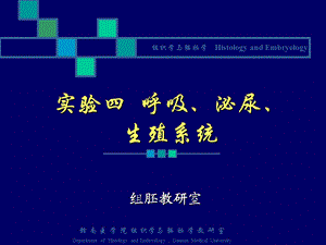 呼吸泌尿生殖系统实验课件.ppt