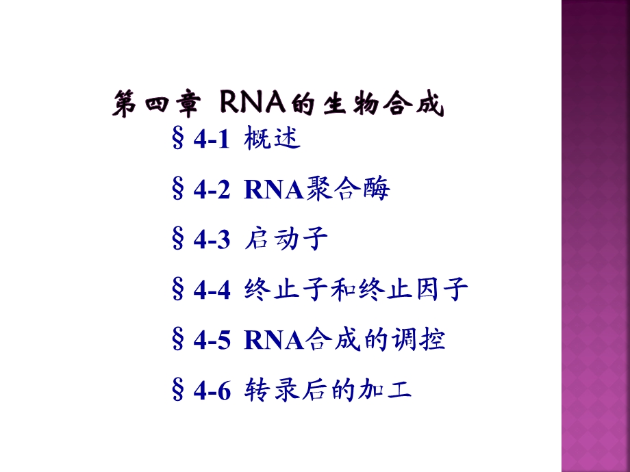 分子生物学ppt课件 RNA的生物合成.ppt_第1页