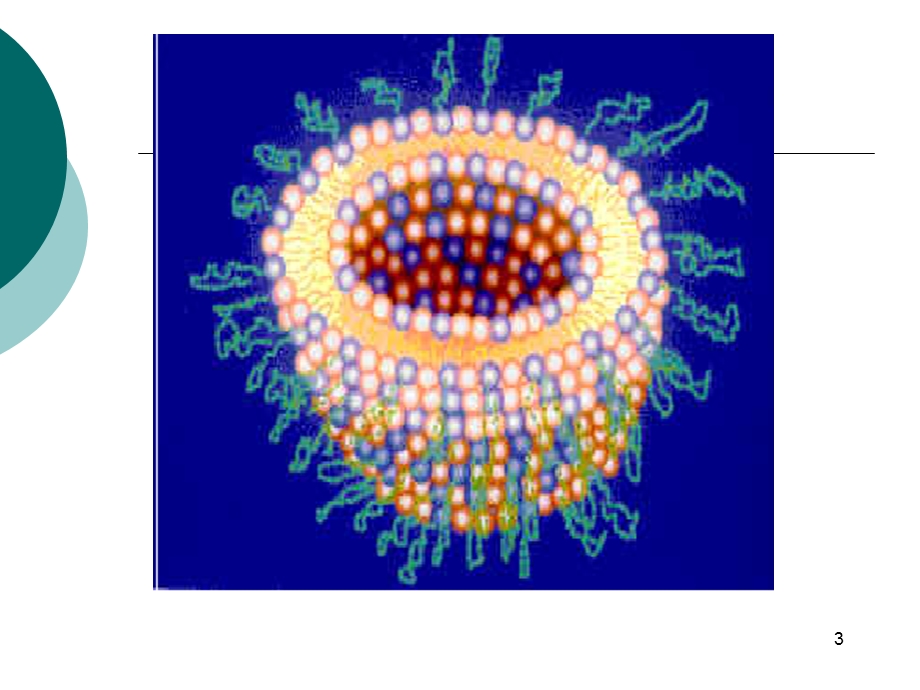 脂质体课件.ppt_第3页