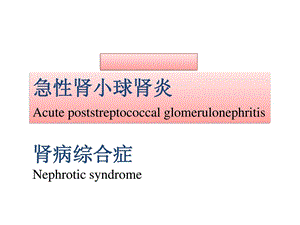 肾小球肾炎、肾病综合征精品ppt课件.ppt