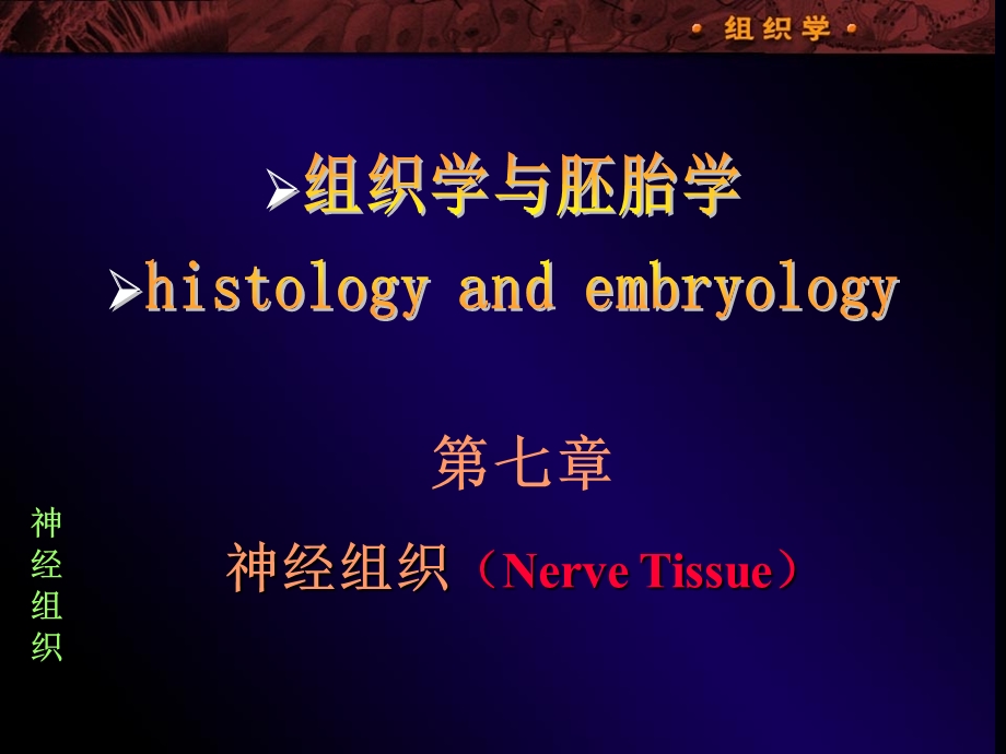 组织学与胚胎学第七章 神经组织2015课件.ppt_第1页