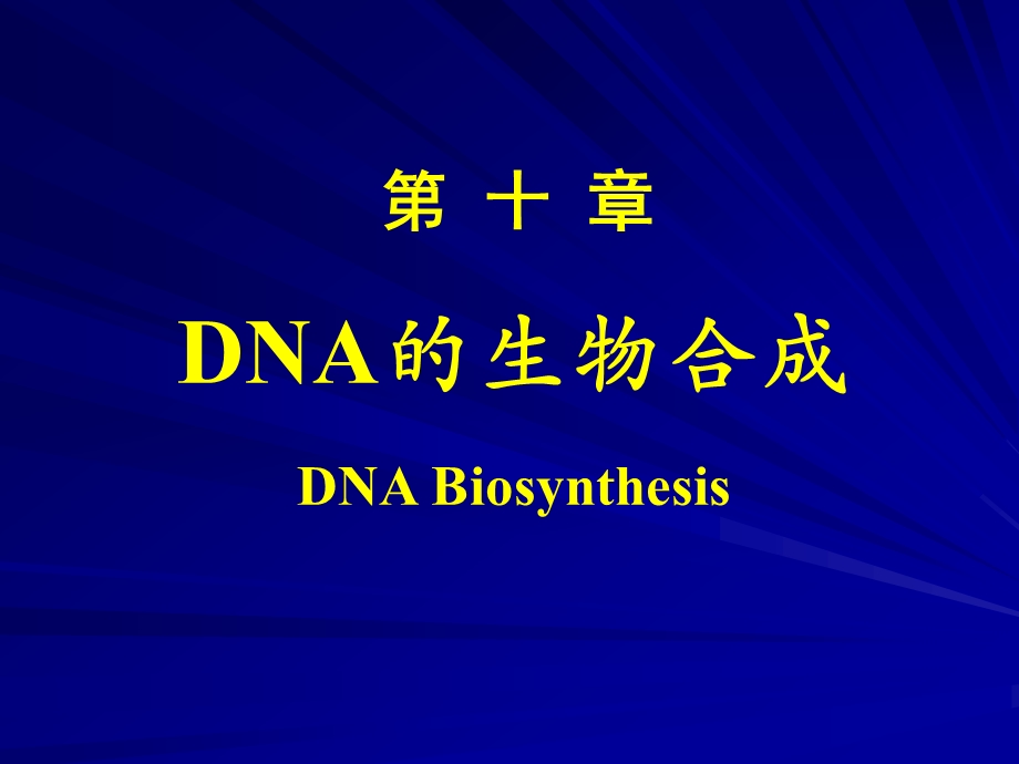 dna的生物合成复制（ppt课件）.ppt_第3页