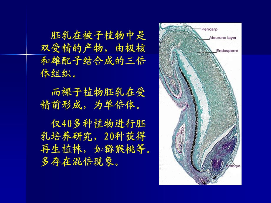 第三章植物组织器官培养课件.ppt_第3页