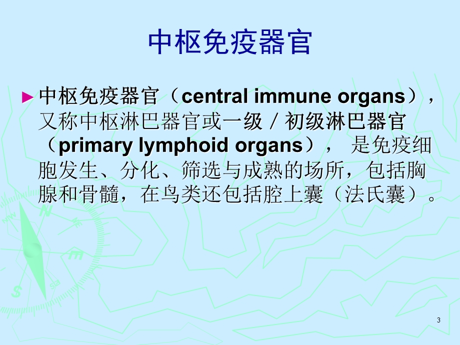 免疫学ppt课件免疫器官和组织.ppt_第3页