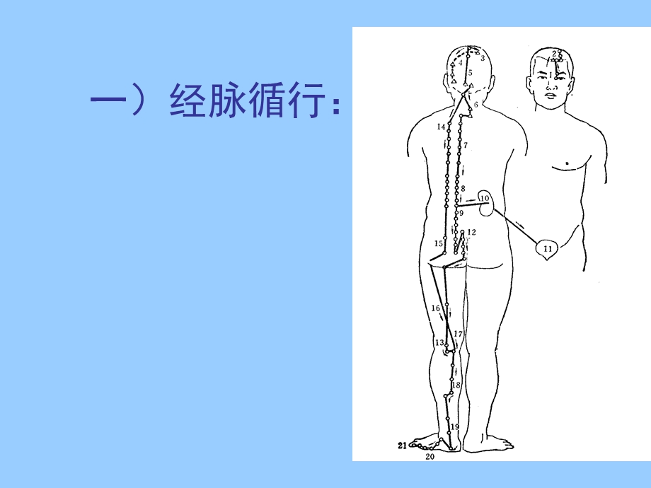 足太阳膀胱经-ppt课件.ppt_第3页