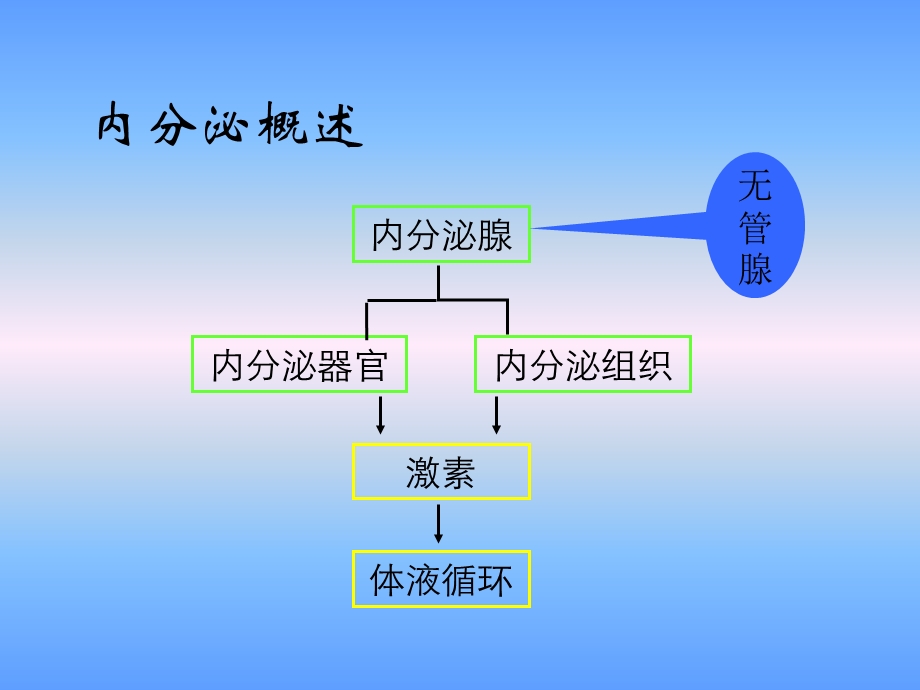 医药学基础----内分泌与生殖系统课件.ppt_第2页