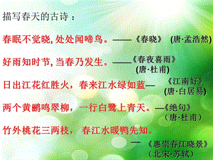 古诗《江南春》课件.ppt