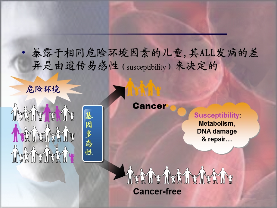 还原叶酸载体基因多态性与儿童ALL易感性的关系研究课件.ppt_第3页