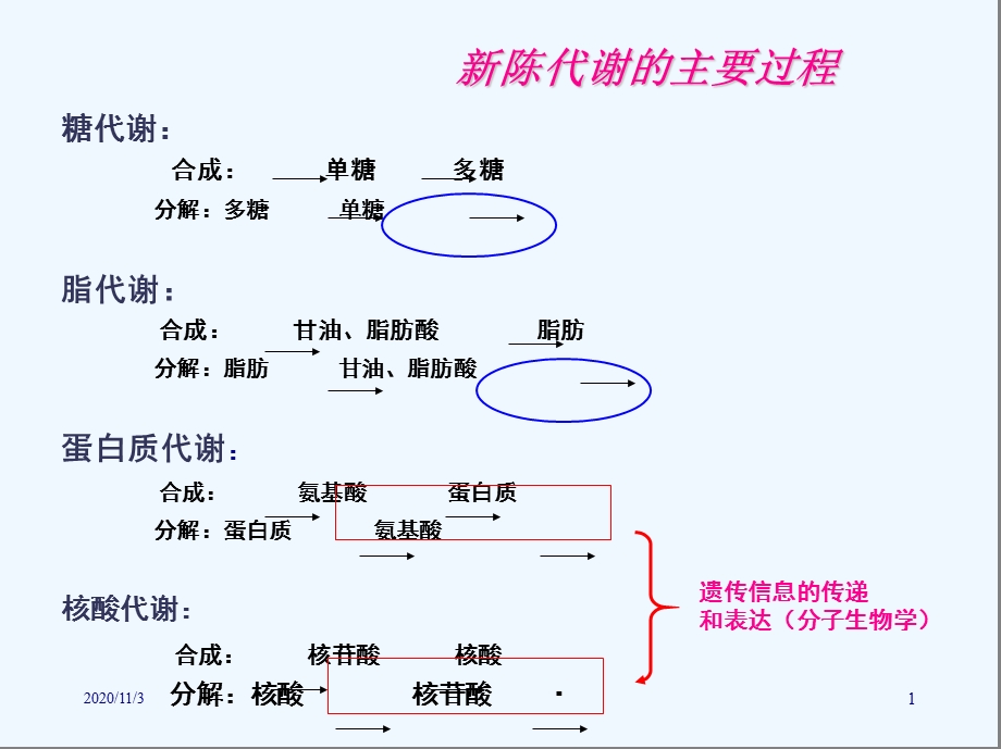 南大生化ppt课件糖酵解.ppt_第1页