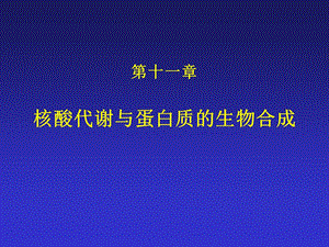 核酸代谢与蛋白质生物合成ppt课件.ppt