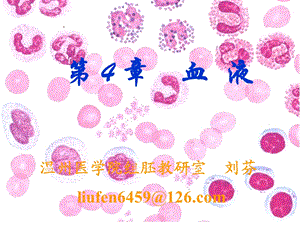 《组织学与胚胎学-刘芬》第4章 血液课件.ppt