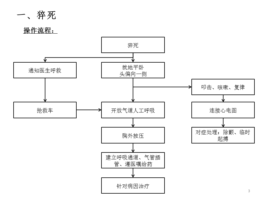 危急重症患者的病情观察与抢救流程 课件.pptx_第3页