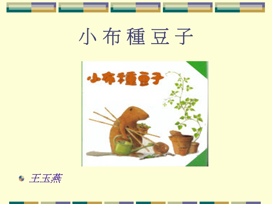 小布种豆子课件.ppt_第1页