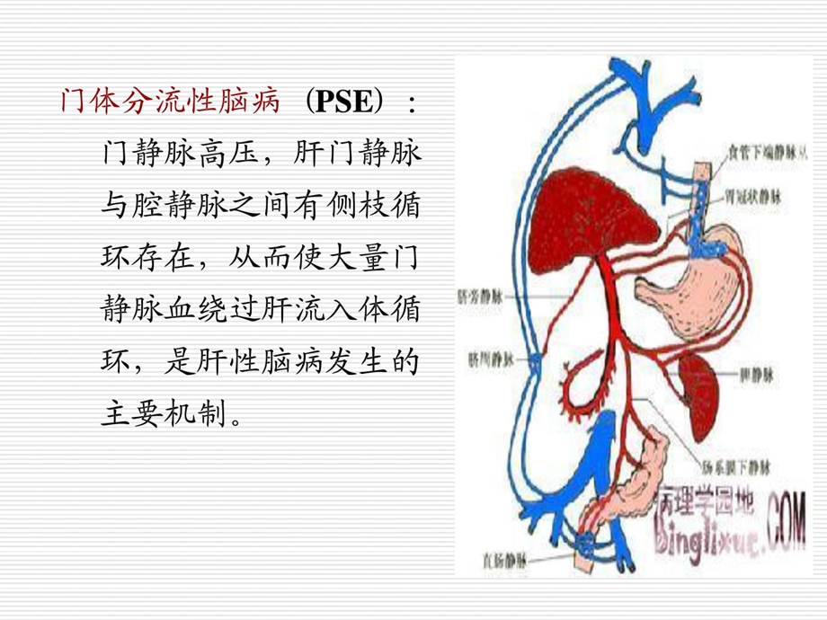 内科医学护理学ppt课件-肝性脑病.ppt_第3页