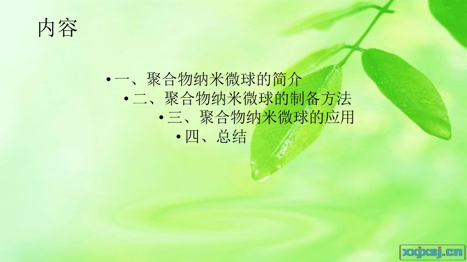 聚合物磁性纳米粒子_图文课件.ppt_第2页