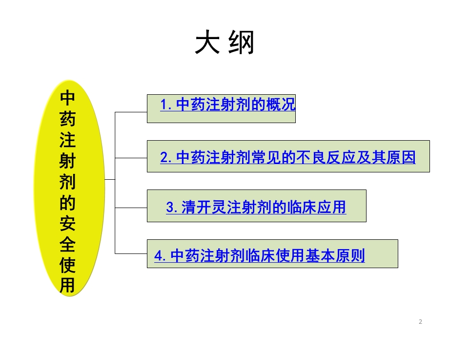 中药注射液安全使用培训ppt课件.ppt_第2页