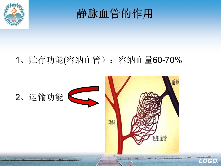 化疗静脉的维护课件.ppt_第3页