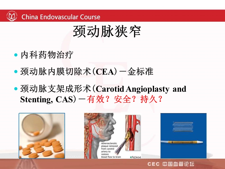 颈动脉CAS术中术后并发症的防治课件.ppt_第2页