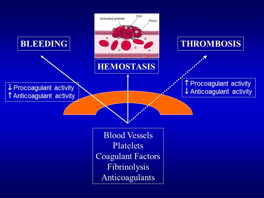 围手术出血与血栓课件.ppt_第3页