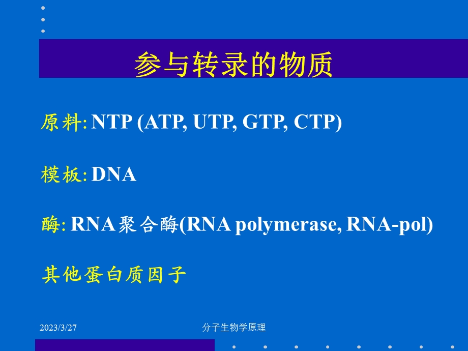 分子生物学原理RNA的生物合成课件.ppt_第3页