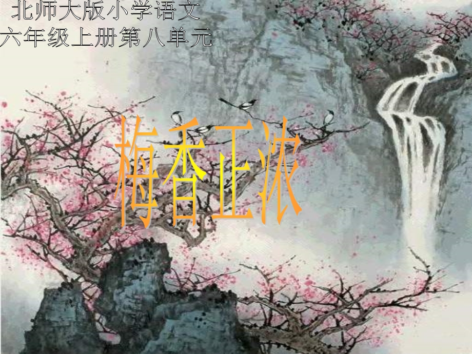 北师大版第十一册《梅香正浓》课件.ppt_第1页