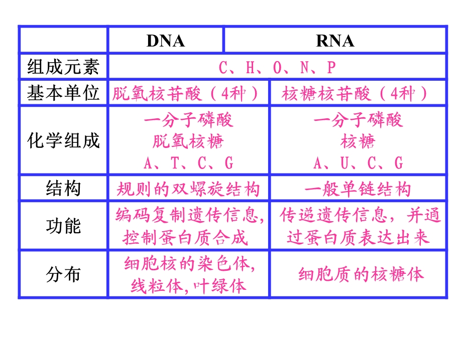 基因指导蛋白质合成 高二生物课件教案 人教版.ppt_第3页