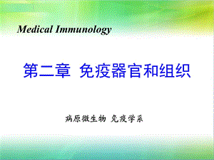医学免疫学教学ppt课件——第二章 免疫器官和组织.ppt